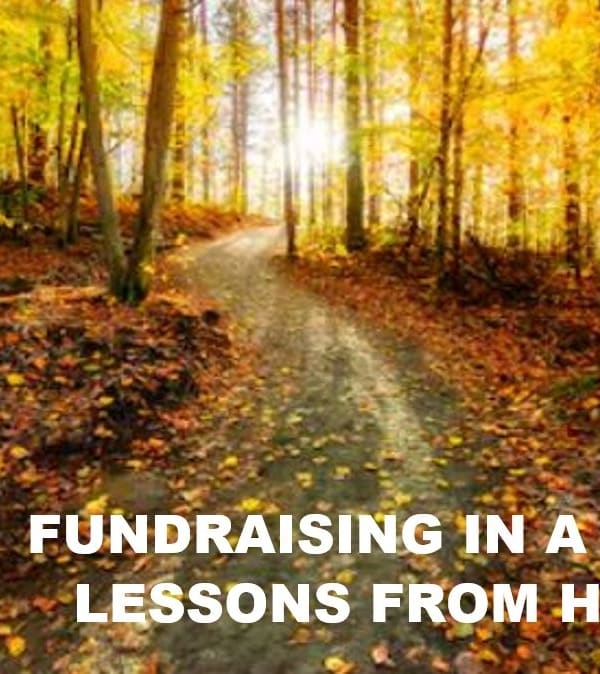 2into3 Fundraising in a Crisis