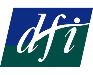 Disability Federation Ireland logo 2into3 Client