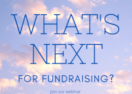 2into3 fundraising Webinar series