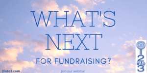 2into3 fundraising Webinar series
