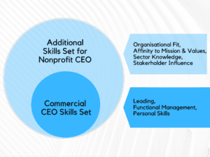 Nonprofit CEO recruitment Skills Set