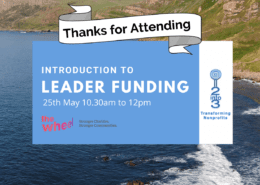 leader funding 2into3 the wheel webinar