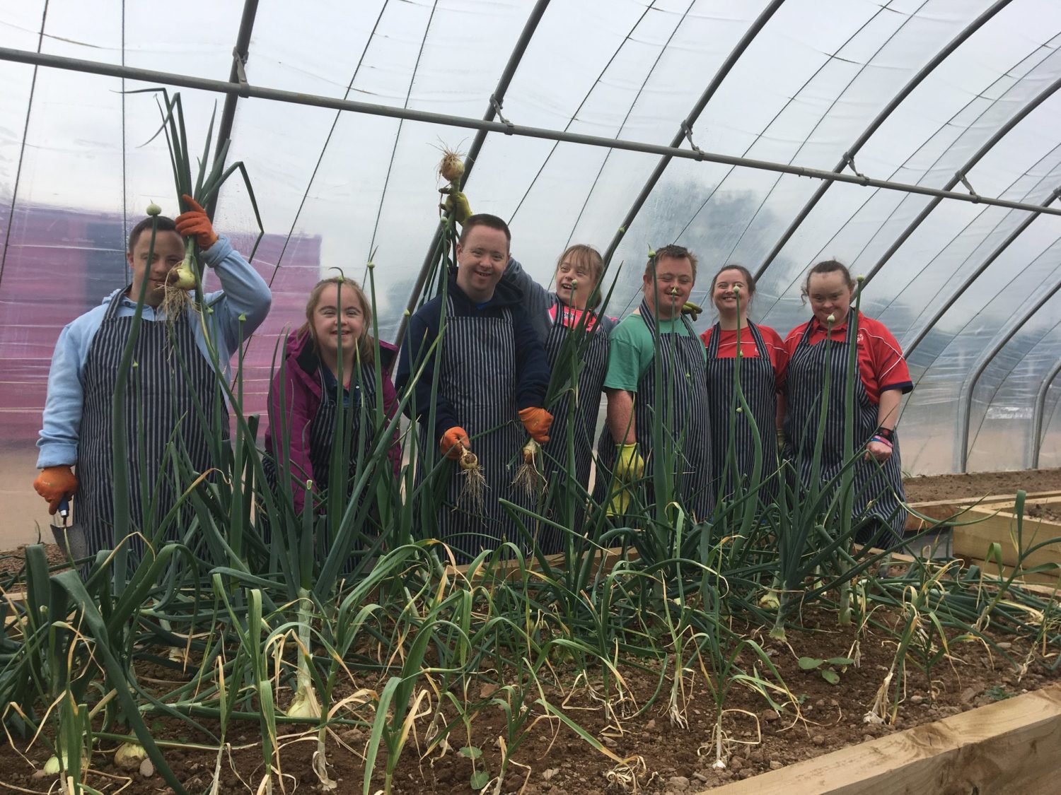 2into3 Fundraising Strategy for Down Syndrome Cork