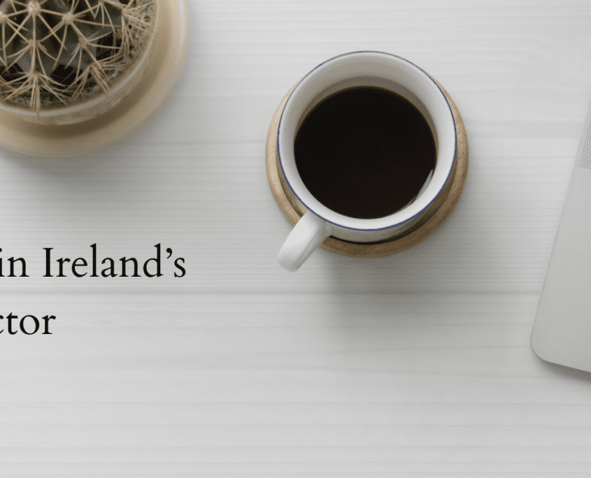 Talent Management in Nonprofit Sector 2into3 Fergal O'Sullivan Head of Recruitment 2022