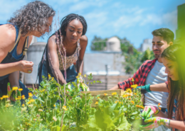 Social Impact S in ESG Partnerships Practice