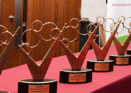 Good Governance Awards 2024