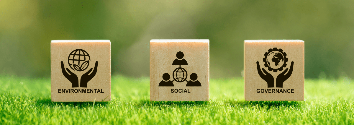 ESG Environment Social Governance