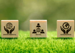 ESG Environment Social Governance